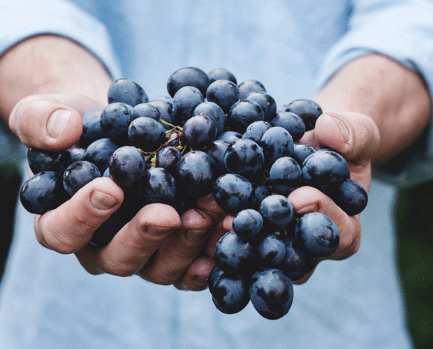 Buying Organic