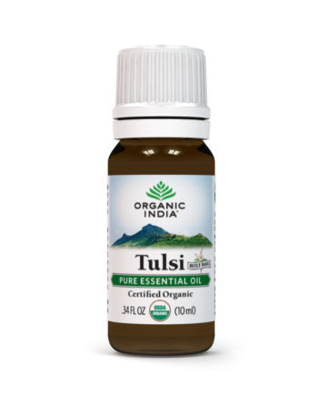 Tulsi Holy Basil Oil